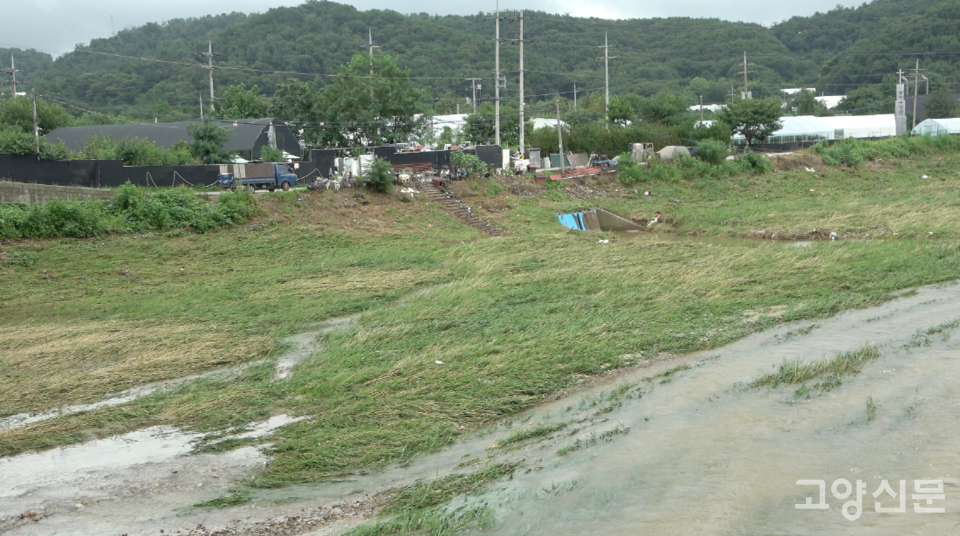 공릉천 고양시 구간 시작점인 선유동 능선교에서 바라본 모습. 전날 하천 수위가 제방 바로 아래까지 차올랐던 흔적이 선명하다. 