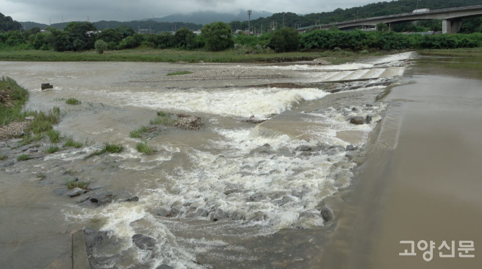 덕양구 신원동 송강보 모습. 자갈과 토사가 수중보 주변을 뒤덮고 있다.  