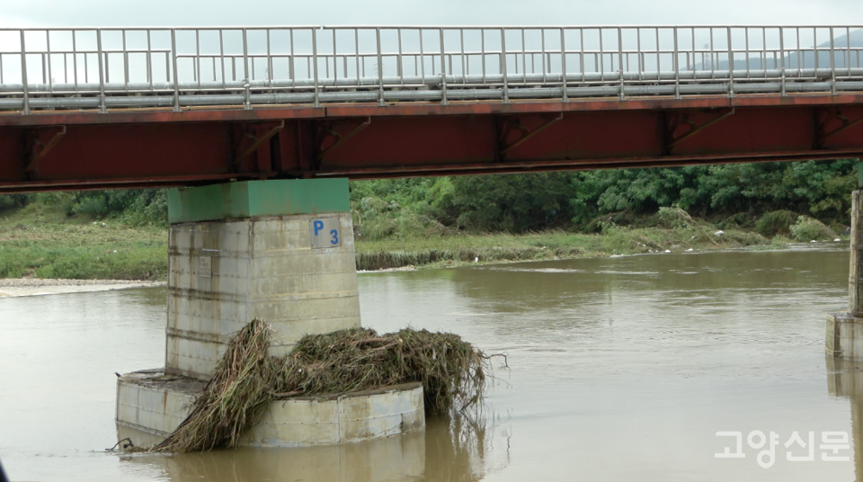 송강보 공릉천 철교 교각에 부유쓰레기가 얹혀있다. 