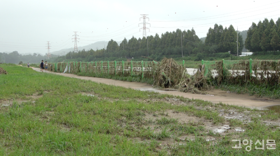 공릉천 문화체육공원 수변 펜스가 떠밀려온 부유물 무게를 이기지 못하고 일부 파손됐다. 