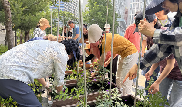  향동종합사회복지관이 ‘환경살리미’의 도시농부프로그램 운영하고 있다.