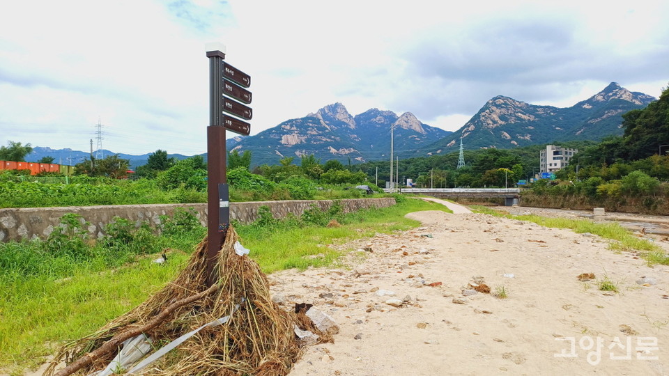 물살에 휩쓸려 온 모래와 자갈에 파묻혀버린 자전거도로. 