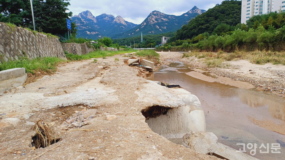 산책로 곳곳에 구멍이 숭숭 뚫려 있어 사고 위험이 높아 보인다. 