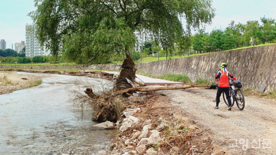 도로 상황을 모르는 이용자들이 도로 유실된 구간을 아무런 통제 없이 출입하고 있다.  