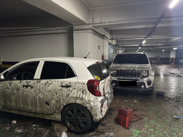 지난 13일 폭우로 인해 행신역 인근 한 건물 지하주차장이 침수되고 차량이 침수피해를 입었다.