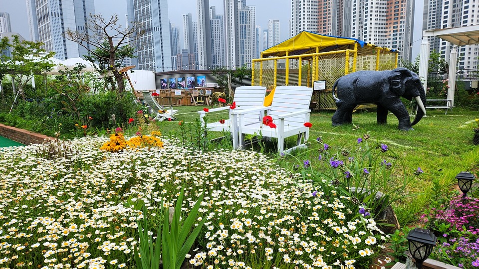 김 대표의 아버지가 직접 가꾼 야외 정원이 프렌디노의 교육적 가치를 더한다.