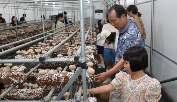 버섯농장에서 체험을 하는 체험단.