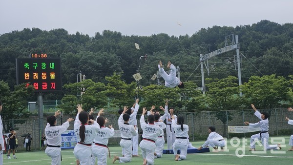 고양시 태권도협회의 시범공연