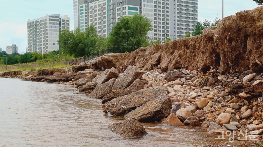 시멘트로 포장된 구간이 무너져내린 지축LH8단지 앞 창릉천 둔치.