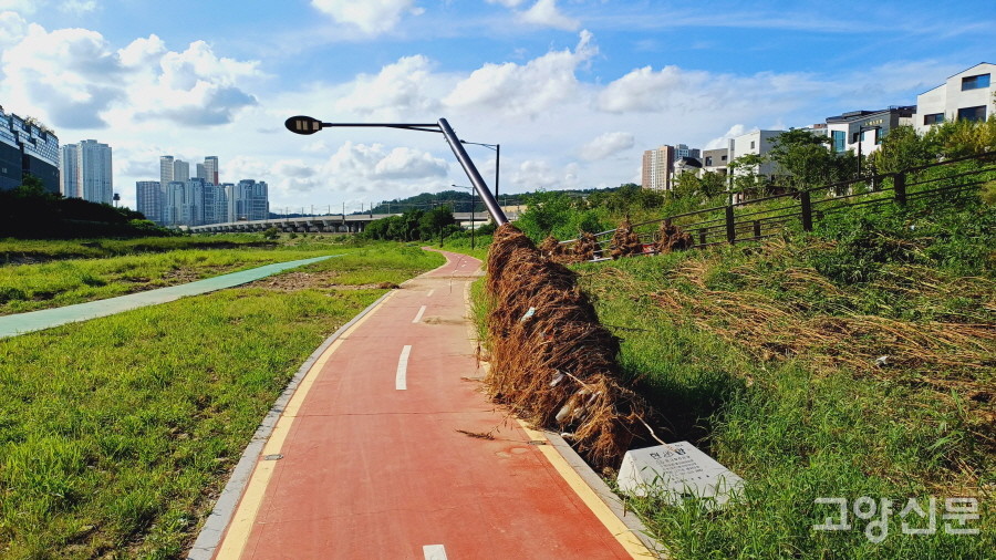 이번 폭우로 수변산책로 보안등 30여 개가 거센 물살을 이기지 못하고 쓰러졌다.