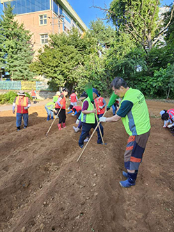   성사1동 주민자치회가 이웃사랑을 위한 ‘사랑의 무심기’를 개최했다.