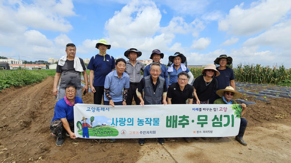  고봉동 주민자치회가 지역 취약계층 김장 지원을 위한 ‘사랑의 농작물 배추·무 심기’를 했다.