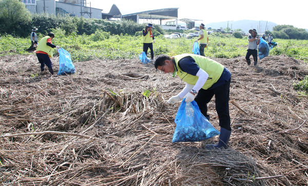 이용연 회장과 회원들이 공릉천 풀숲에 들어가 널브러진 쓰레기를 줍고 있다.