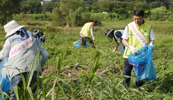 원당농협 이창림 조합장도 참여해 공릉천 정화활동에 함께했다.