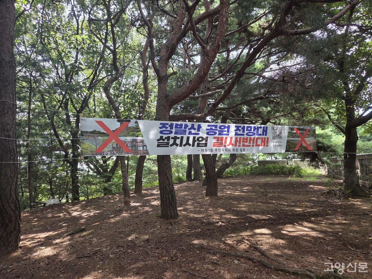 정발산 평심루 인근에 내걸린 정발산공원 전망대 설치사업 반대 현수막
