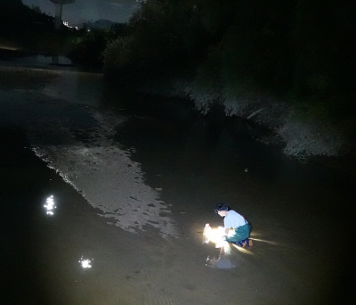 [사진제공=에코코리아]