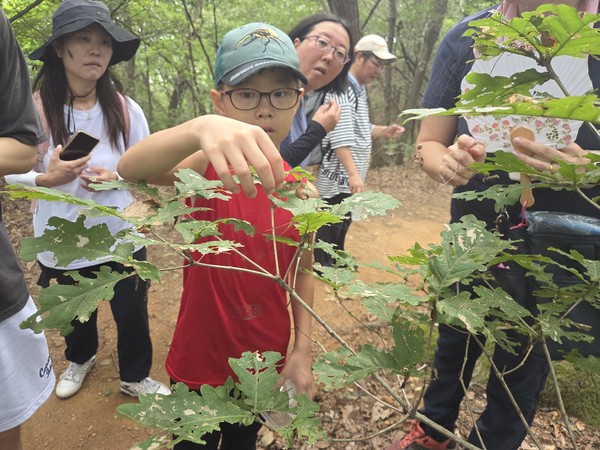 지난달 23일 앵봉산에서 탐사객들이 곤충을 관찰하고 있다.