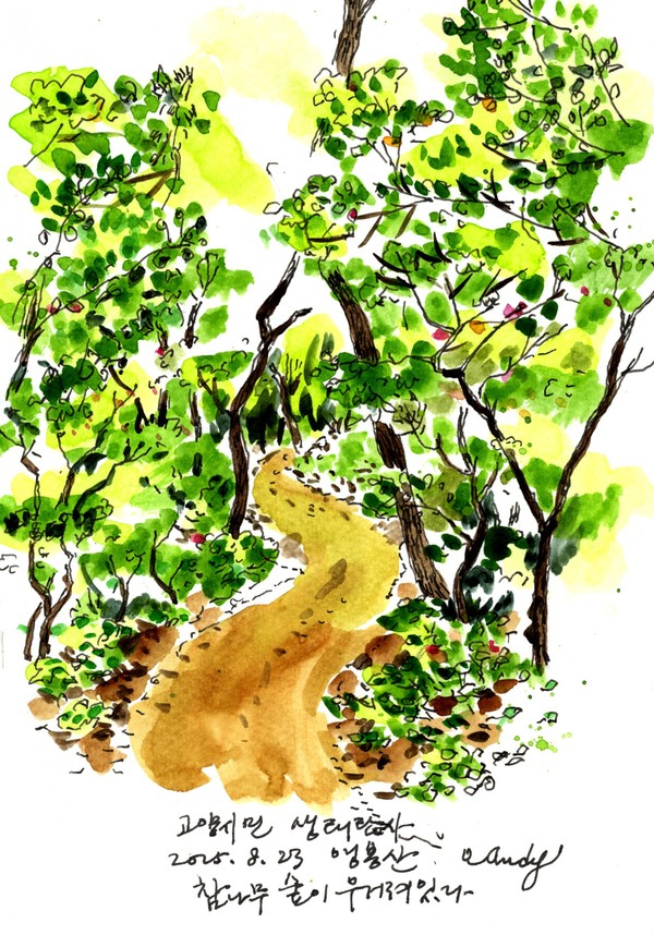 (그림1) 여름의 끝자락, 참나무 숲이 우거진 앵봉산에 올랐다.