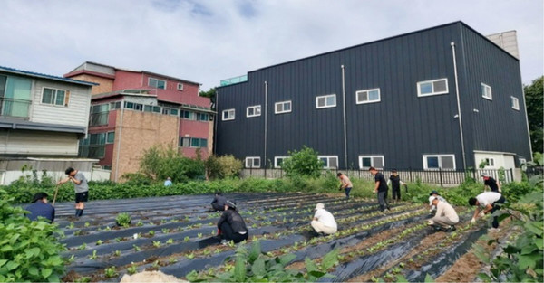 덕이동 체육회가 ‘배추·무 심기 봉사활동’으로 지역사회에 따뜻함을 전했다. 