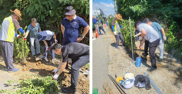 가지런히 그리고 조심히 나무를 심는 주민들. 물도 꼼꼼하게 주었다.