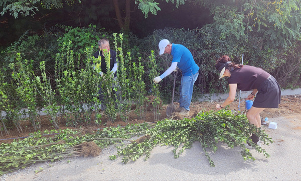 정혜선 주민자치회장이 환경을 위한 마음을 담아 나무를 선별하고 있다.