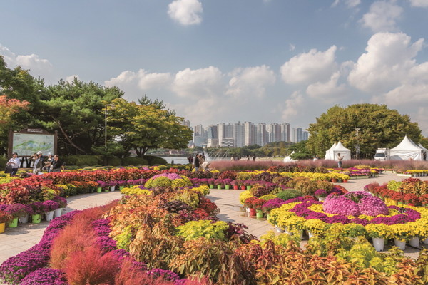 2024 고양가을꽃축제 정원. [사진제공=고양시]