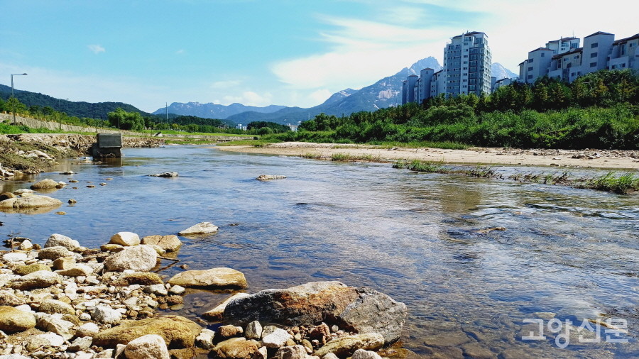 지축LH8단지 아파트 앞을 흐르는 창릉천. 