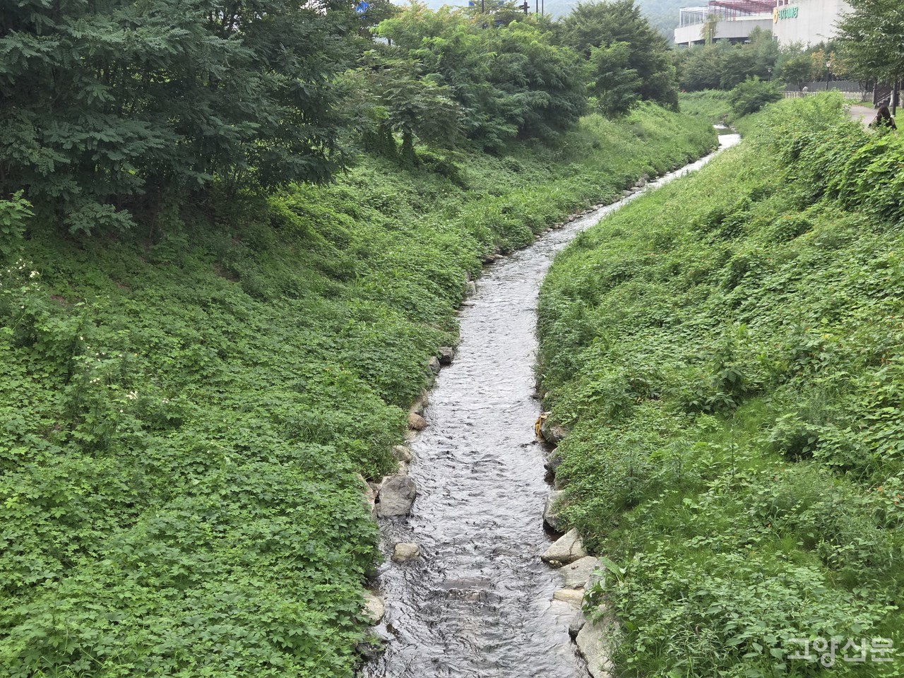 샛말천은 앵봉산에서 발원해 큰골(창릉동 1통)과 밥할머니연못을 지나 창릉천으로 흐르는 연장 1.486km의 실개천이다.