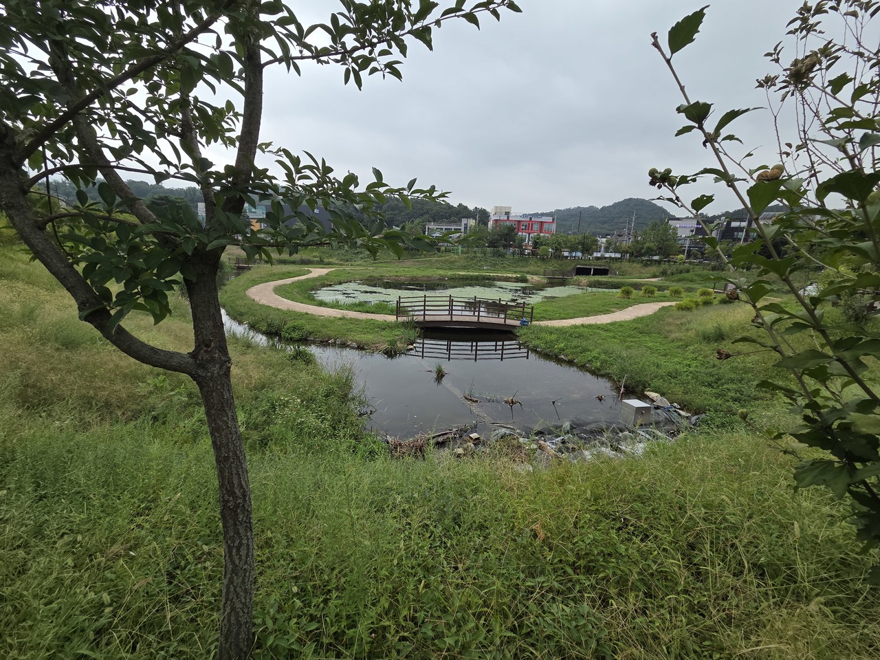 밥할머니연못에는 삼송, 원흥, 지축 지역의 오폐수를 정화한 1만톤의 재이용수가 매일 유입되고 있다.