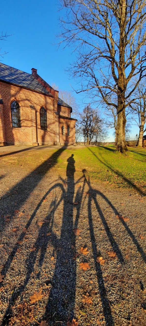 북유럽의 가을, 낮은 햇살에 그림자가 길게 드리운다.