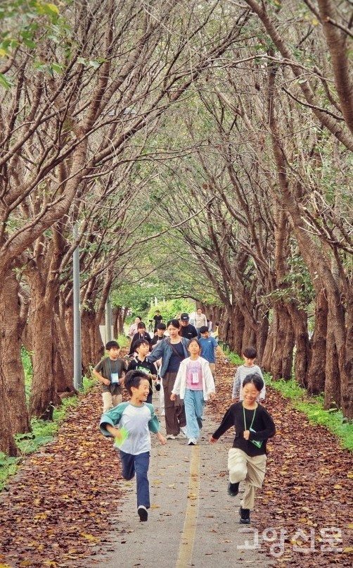 양주 삼하리 공릉천변 벚나무 터널길을 산책하는 탐방대원들. 