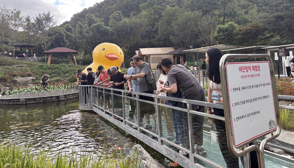  프로그램을 즐기는 참여자들.