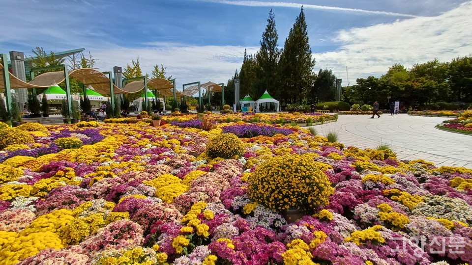 형형색색 꽃으로 장식된 가을풍경정원. 