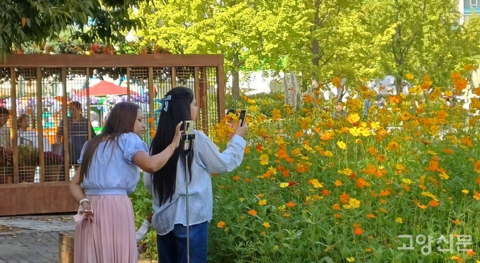 축제장을 찾은 외국인 관람객들. 