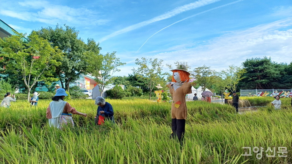 알곡이 익어가는 들녘을 옮겨놓은 정원. 