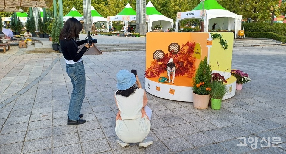 반려견을 동반한 시민들의 큰 호응을 얻고 있는 '견생 네 컷' 포토존.