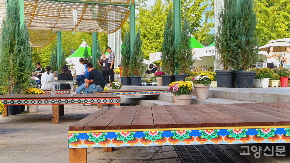 컬러풀한 단청 무늬로 장식된 피크닉 평상.