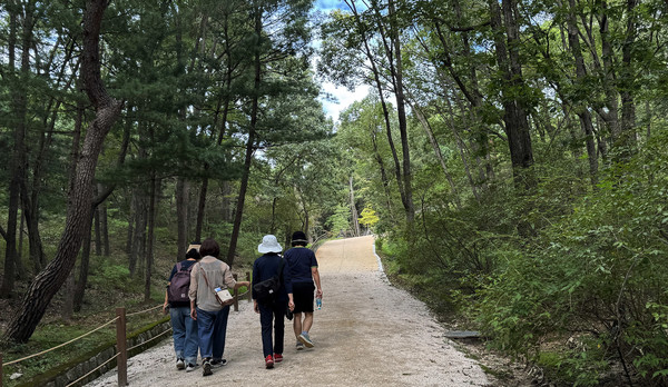  지역명소 서오릉을 걷고 있는 참여자들.
