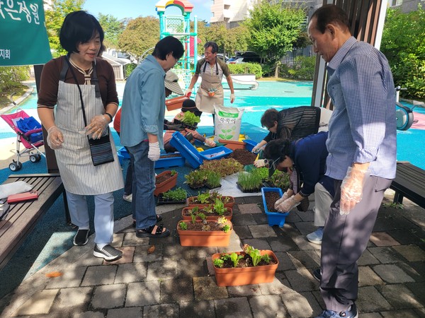  화분에 다양한 모종심기.