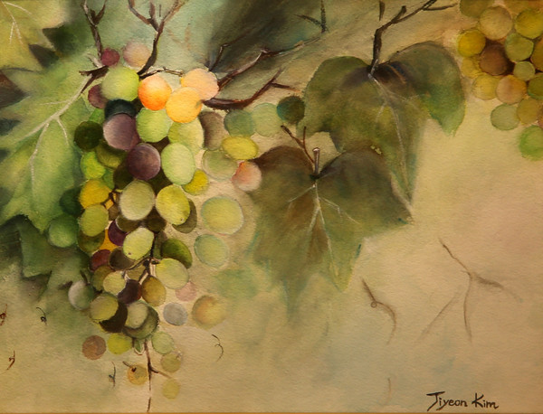 김지연 작가의 '포도' 수채화
