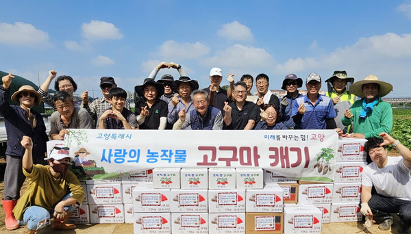 고봉동 주민자치회가 주민자치회 텃밭에서 ‘사랑의 농작물 고구마 캐기’를 했다.
