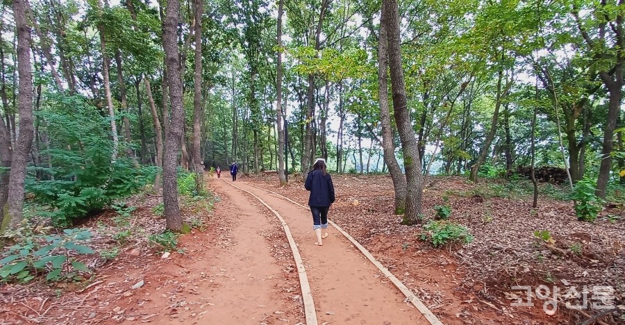 황룡산 숲길을 따라 만들어진 황토 맨발걷기길.