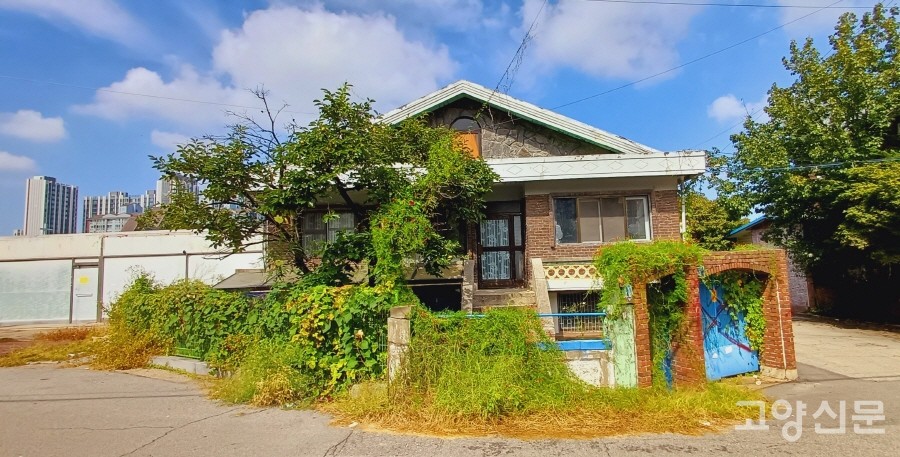 주인이 떠난 양옥집의 대문과 담장을 넝쿨식물들이 점령해가고 있다.