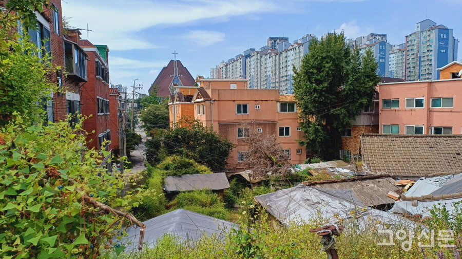 구 가옥들이 모여있는 골목 지붕을 인근 빌라 마당에서 내려다 본 풍경. 