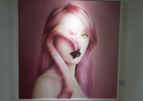 헝가리 출신 사진작가 플로라 보르시의 작품 Flamingo, 2016.