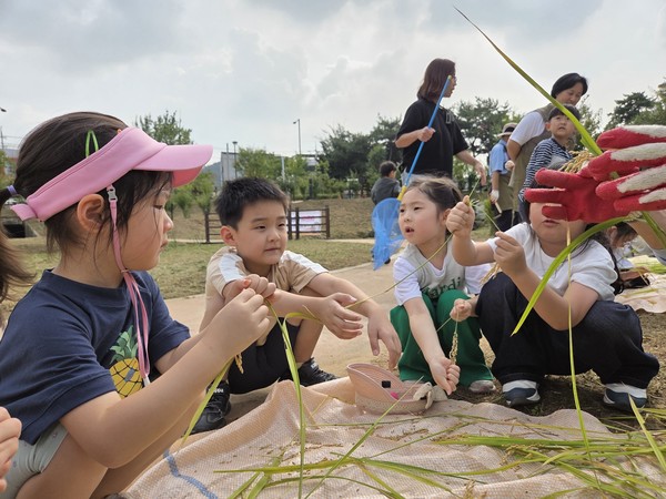 벼 수확체험을 하는 어린이들. [사진제공=구자란]