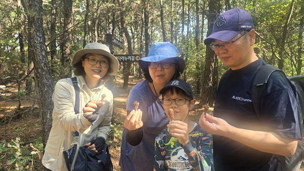 생태해설사 김지선(맨 왼쪽)씨와 최연소 참가자인 김시윤(가람초 3)군 가족이 청설모가 갉아먹은 잣송이를 들고 있다. 