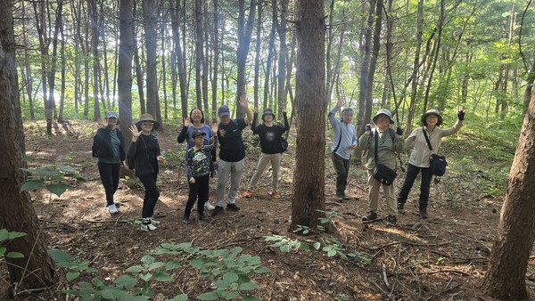 견달산은 잣나무와 밤나무, 참나무류가 많이 심어진 오래된 마을숲이다.