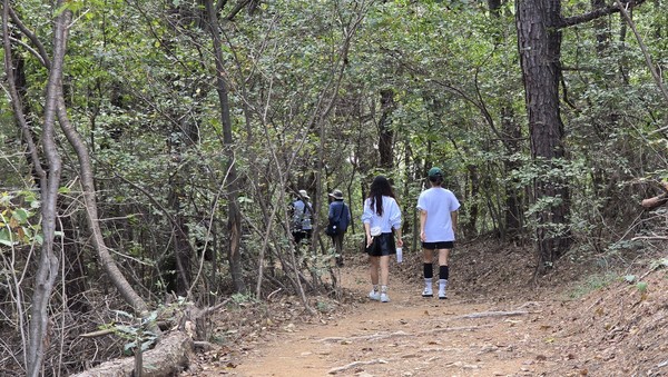 견달산은 식사동 주민들이 산책로로 즐겨찾는 마을숲이다.
