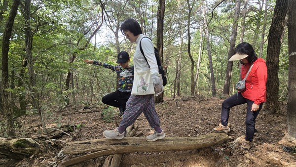 탐사대원들이 쓰러진 나무 위에서 균형을 잡으며 걷고 있다.